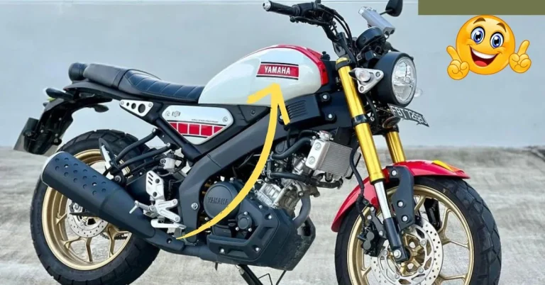 yamaha xsr 155
